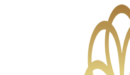 flavorstrategycm.com